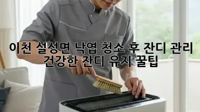 이천 설성면 낙엽 청소 후 잔디 관리, 건강한 잔디 유지 꿀팁!